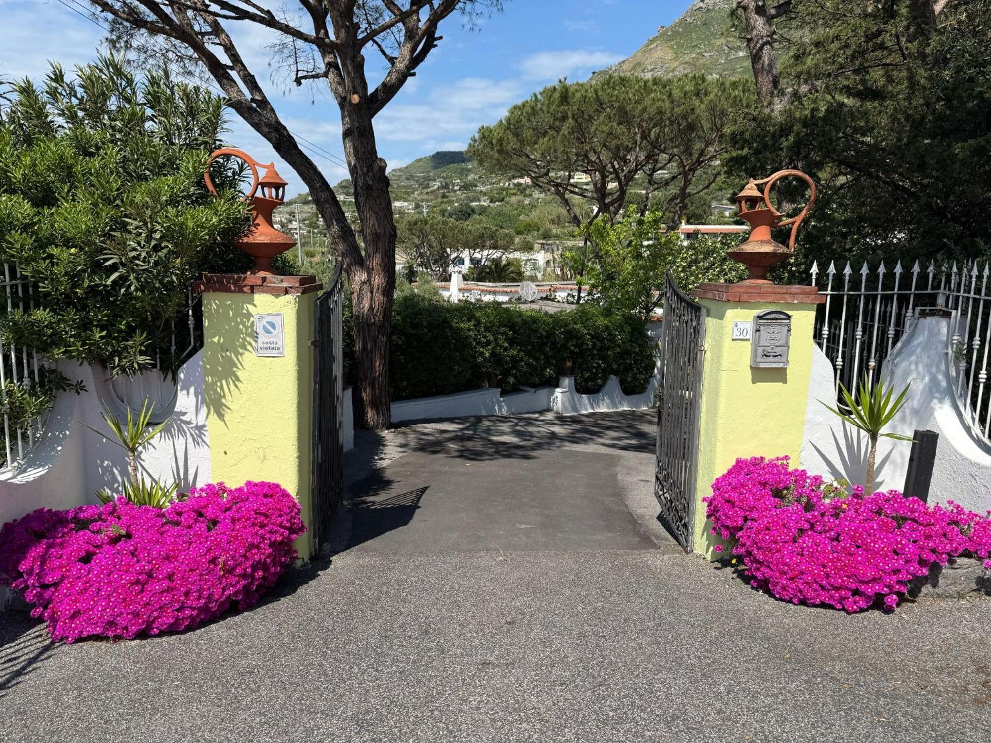 卡里托公园酒店 Forio di Ischia 外观 照片